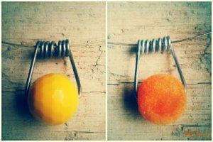 PhotoGrid_1393924317958