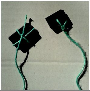 PhotoGrid_1395395700455