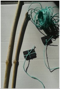 PhotoGrid_1395395726321