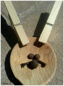 PhotoGrid_1397563061924 (1)