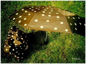 PhotoGrid_1399474821475