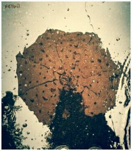 PhotoGrid_1399983490352