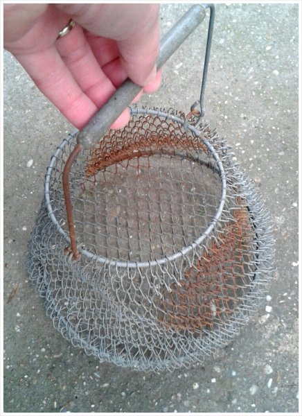 PhotoGrid_1400587386599