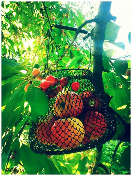 PhotoGrid_1400587966635