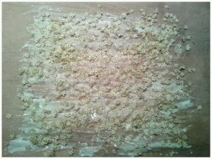 PhotoGrid_1400661490394