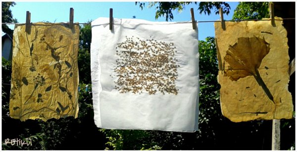 PhotoGrid_1400661692688