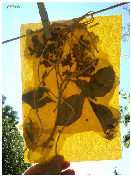 PhotoGrid_1400662308634