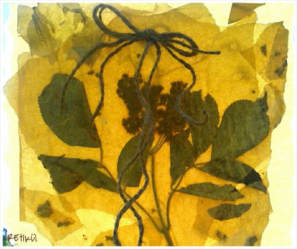 PhotoGrid_1400662518617