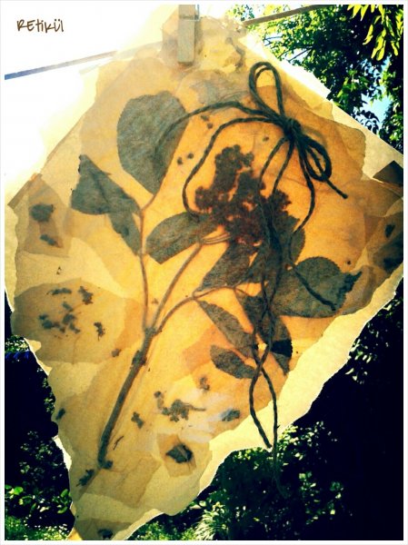 PhotoGrid_1400662570515