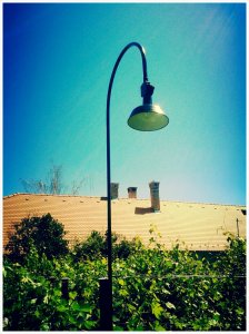 PhotoGrid_1402825673673