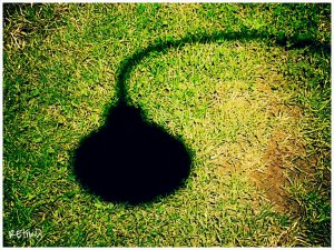 PhotoGrid_1402826040977