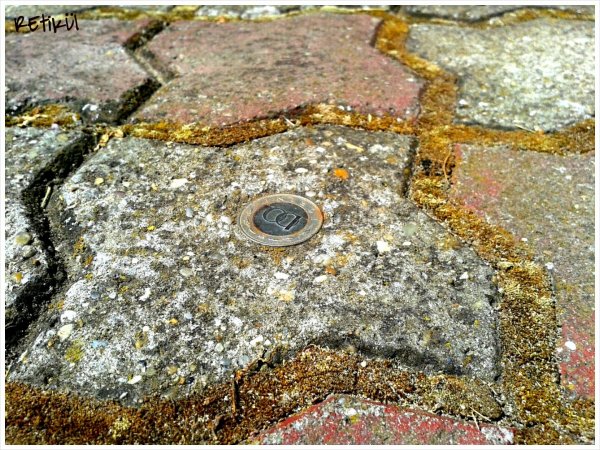 PhotoGrid_1402826854354