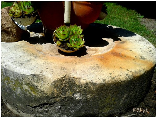 PhotoGrid_1402828930068