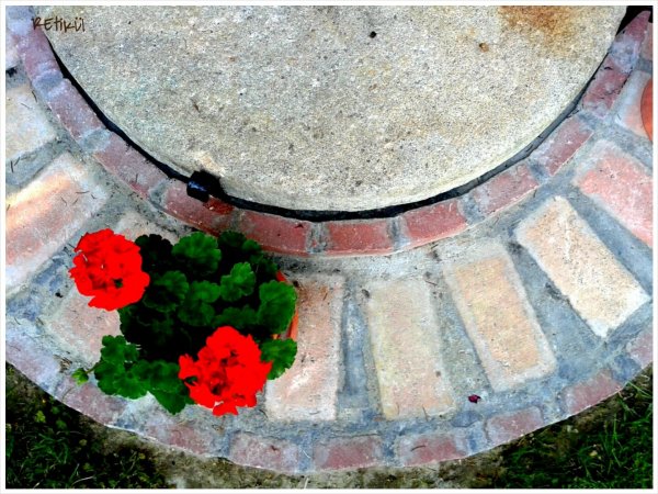 PhotoGrid_1402860747154