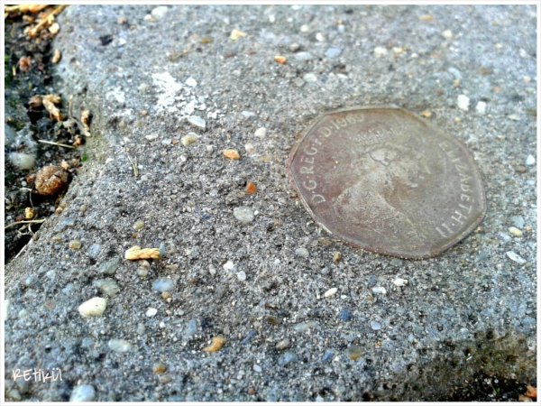 PhotoGrid_1402905023957