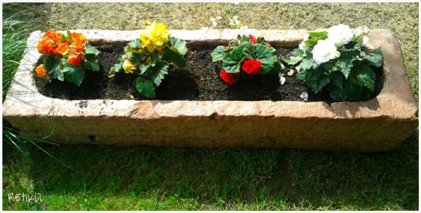 PhotoGrid_1402906926136