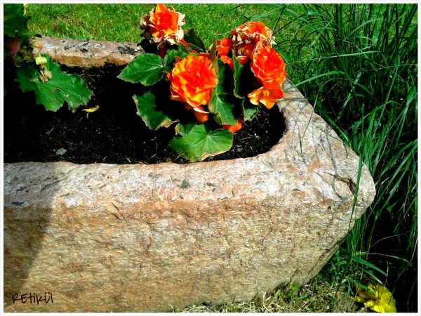 PhotoGrid_1402906999581