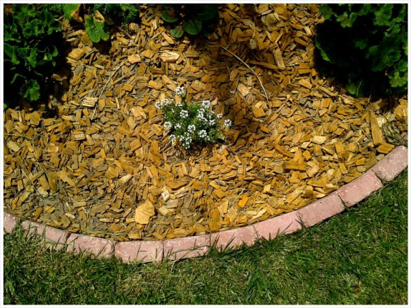 PhotoGrid_1403020714463