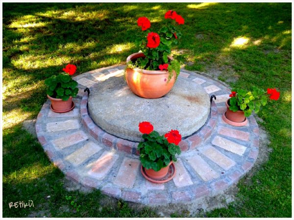 PhotoGrid_1403035590658