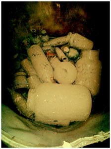 PhotoGrid_1403515159325 (1)