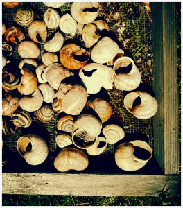 PhotoGrid_1403873927626