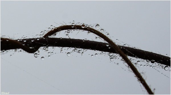 IMG_4066_resize