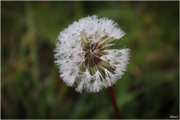 IMG_4229_resize
