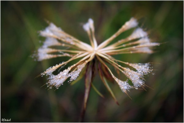 IMG_4282_resize