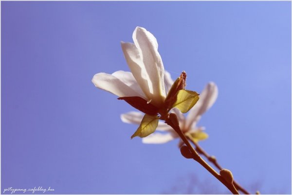 IMG_9544_resize
