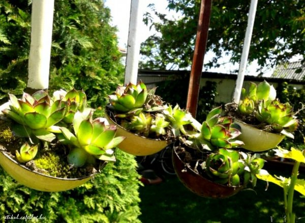 PhotoGrid_1398713965576