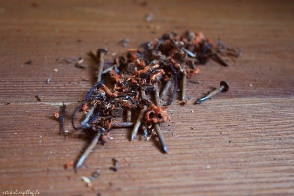 IMG_0830_resize_resize