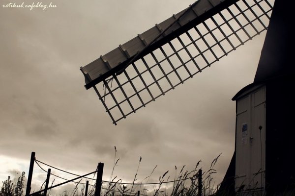 19_resize
