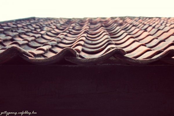 3_resize
